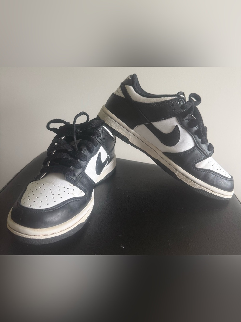 Nike Dunk Low Big Kids’ Sneakers